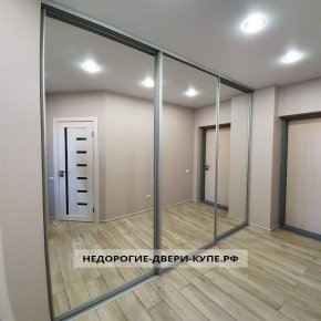откатная дверь в гардеробную с зеркалом. Смотреть фото откатная дверь в гардеробную с зеркалом. Смотреть картинку откатная дверь в гардеробную с зеркалом. Картинка про откатная дверь в гардеробную с зеркалом. Фото откатная дверь в гардеробную с зеркалом