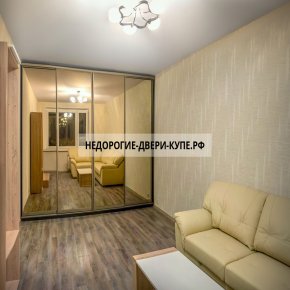 откатная дверь в гардеробную с зеркалом. Смотреть фото откатная дверь в гардеробную с зеркалом. Смотреть картинку откатная дверь в гардеробную с зеркалом. Картинка про откатная дверь в гардеробную с зеркалом. Фото откатная дверь в гардеробную с зеркалом