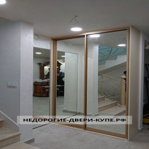 откатная дверь в гардеробную с зеркалом. Смотреть фото откатная дверь в гардеробную с зеркалом. Смотреть картинку откатная дверь в гардеробную с зеркалом. Картинка про откатная дверь в гардеробную с зеркалом. Фото откатная дверь в гардеробную с зеркалом