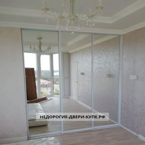 откатная дверь в гардеробную с зеркалом. Смотреть фото откатная дверь в гардеробную с зеркалом. Смотреть картинку откатная дверь в гардеробную с зеркалом. Картинка про откатная дверь в гардеробную с зеркалом. Фото откатная дверь в гардеробную с зеркалом